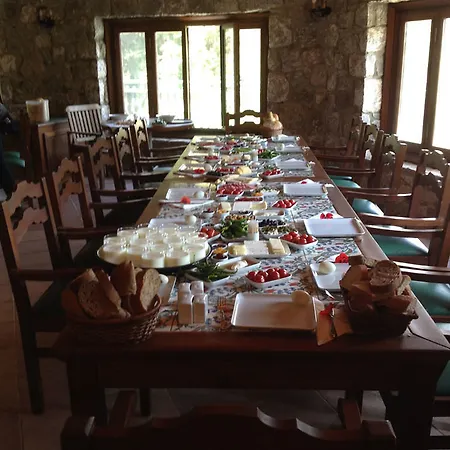 Neroli Butik 3* Turunç