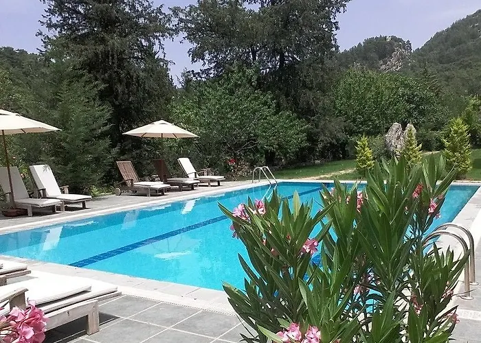 Neroli Butik מלון טורונץ'