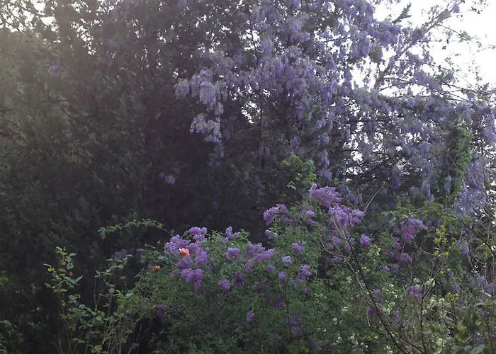 מלון Neroli Butik 3*