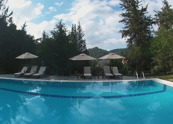 Neroli Butik 3* טורונץ'