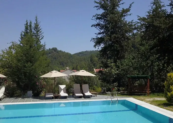 Neroli Butik 3* טורונץ'